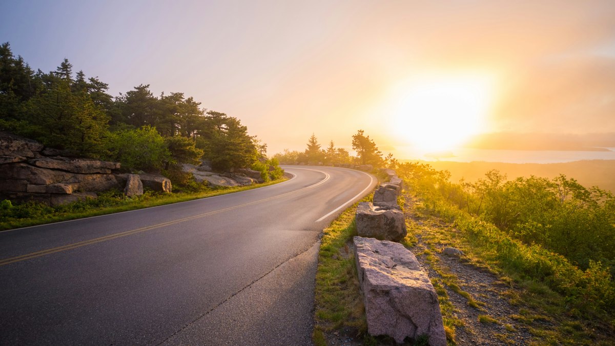 朝の光が差す道。これからの暮らしの選択をイメージした風景。